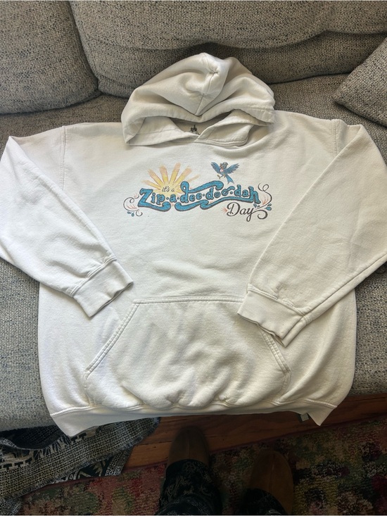 Disney Tops - Vintage Disney Parks Splash Mountain Hoodie